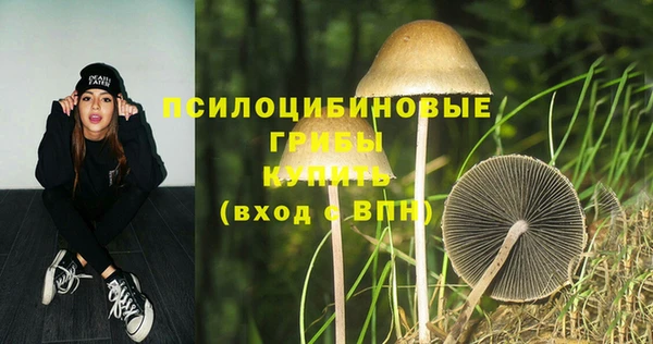 ALPHA PVP Алексеевка
