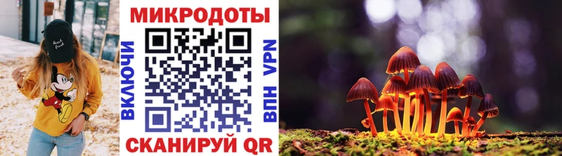 Псилоцибиновые грибы GOLDEN TEACHER  shop официальный сайт  Тамбов  где можно купить   mega как войти 